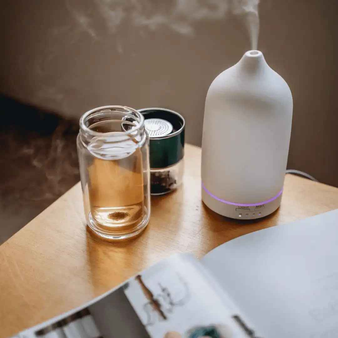 NNEDSZ Double Wall Glass Tea Infuser Bottle